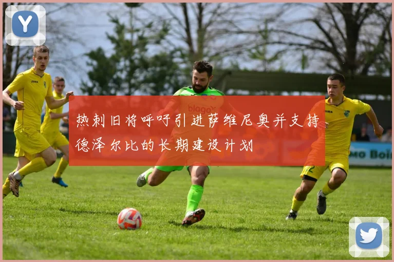 热刺旧将呼吁引进萨维尼奥并支持德泽尔比的长期建设计划